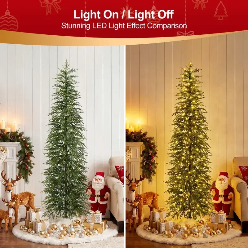 Comparison of the illuminated and unlit appearance of the cypress tree