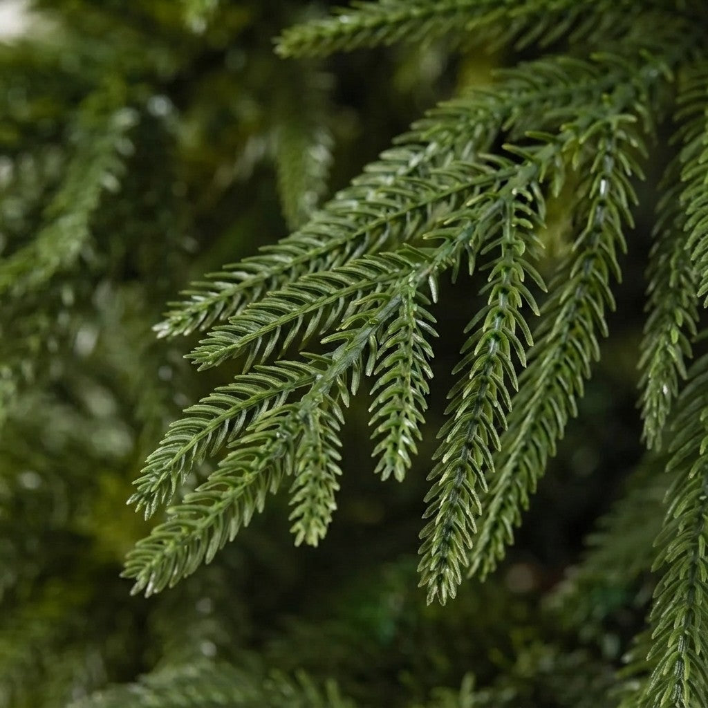 Artificial Cypress Christmas Tree | 5–7 FT, Pre-lit & Unlit